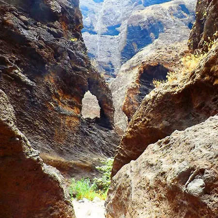 Lejlighed Tropical *