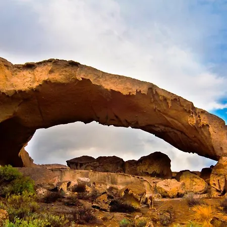 Tropical Lejlighed *