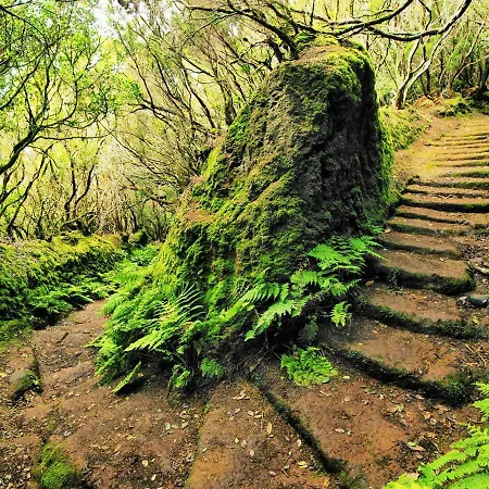 Lejlighed Tropical *