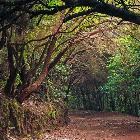 Tropical Lejlighed Arico Viejo