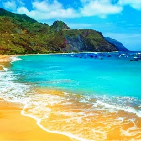 Lejlighed Tropical Arico Viejo