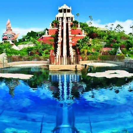 Tropical Arico Viejo