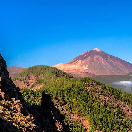 Tropical Lejlighed *