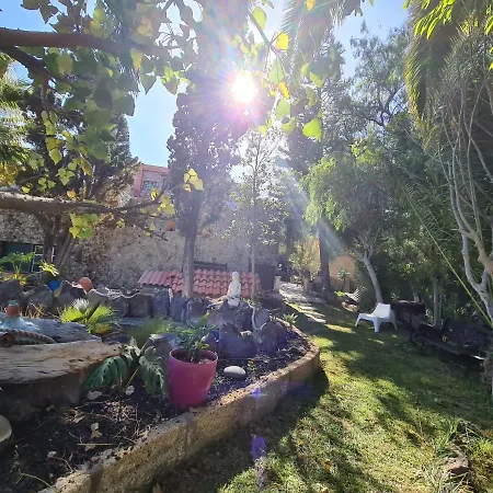 Apartamento Tropical
